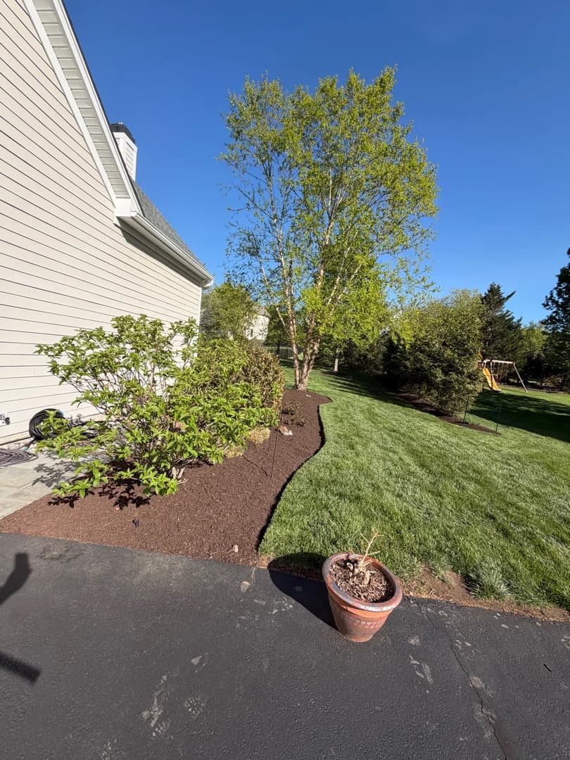 Narrow side-yard mulch bed running the length of a driveway, hand-edged for a sharp turf line.