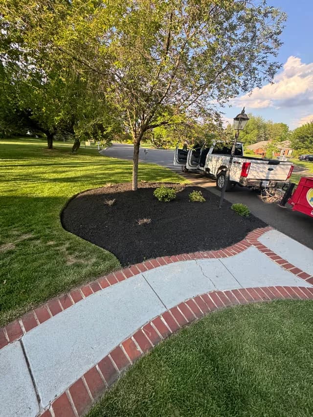 Front-walk mulch bed with red-brick border, freshly mulched around a young ornamental tree.