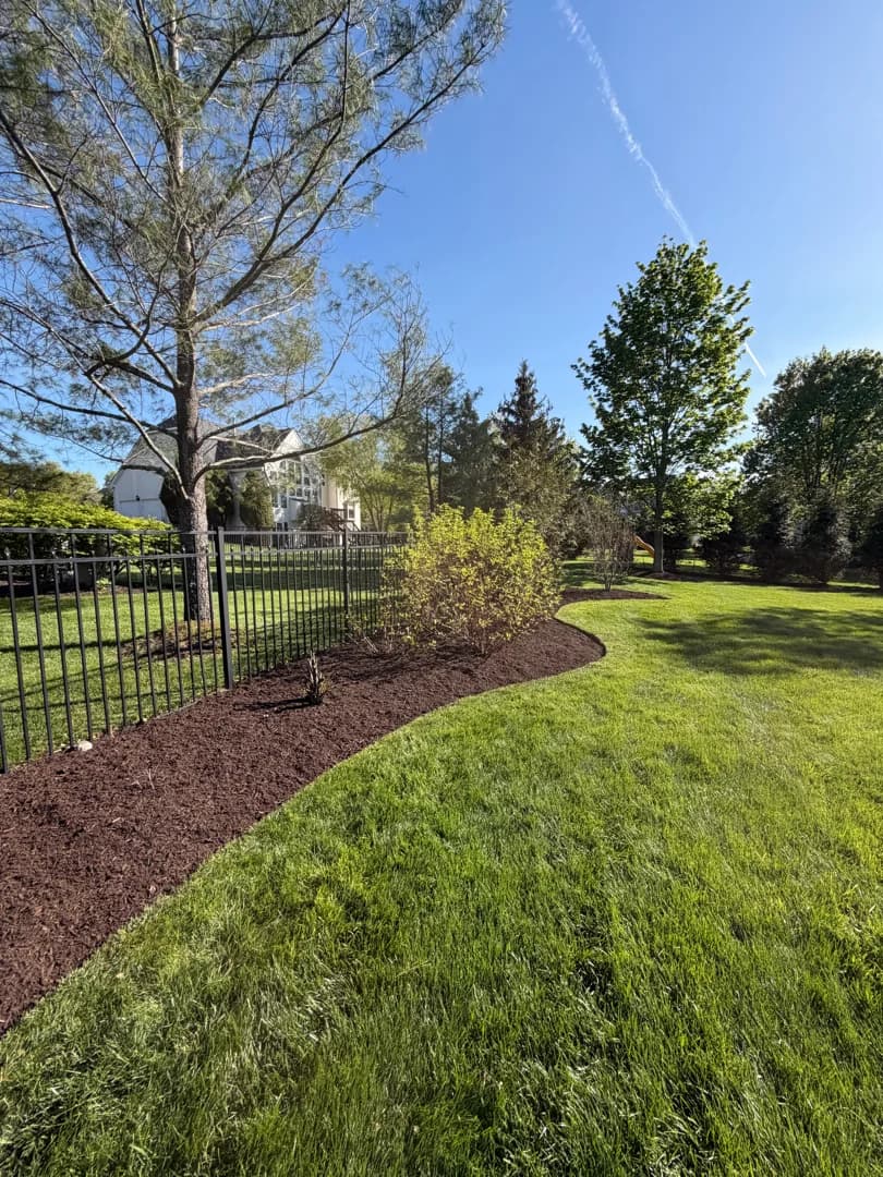 Long mulch bed running along a black iron property fence — refreshed with deep black mulch and a hand-cut edge.