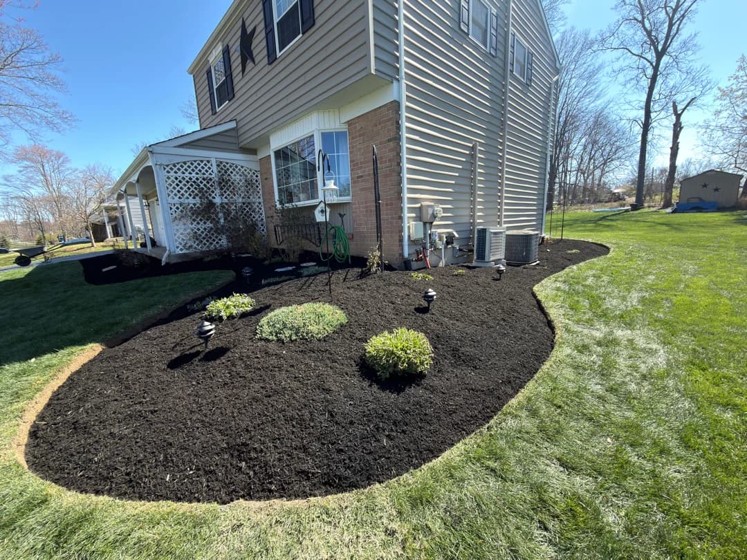Side-yard foundation bed with low boxwoods and ornamental grasses, freshly mulched and crisply edged.