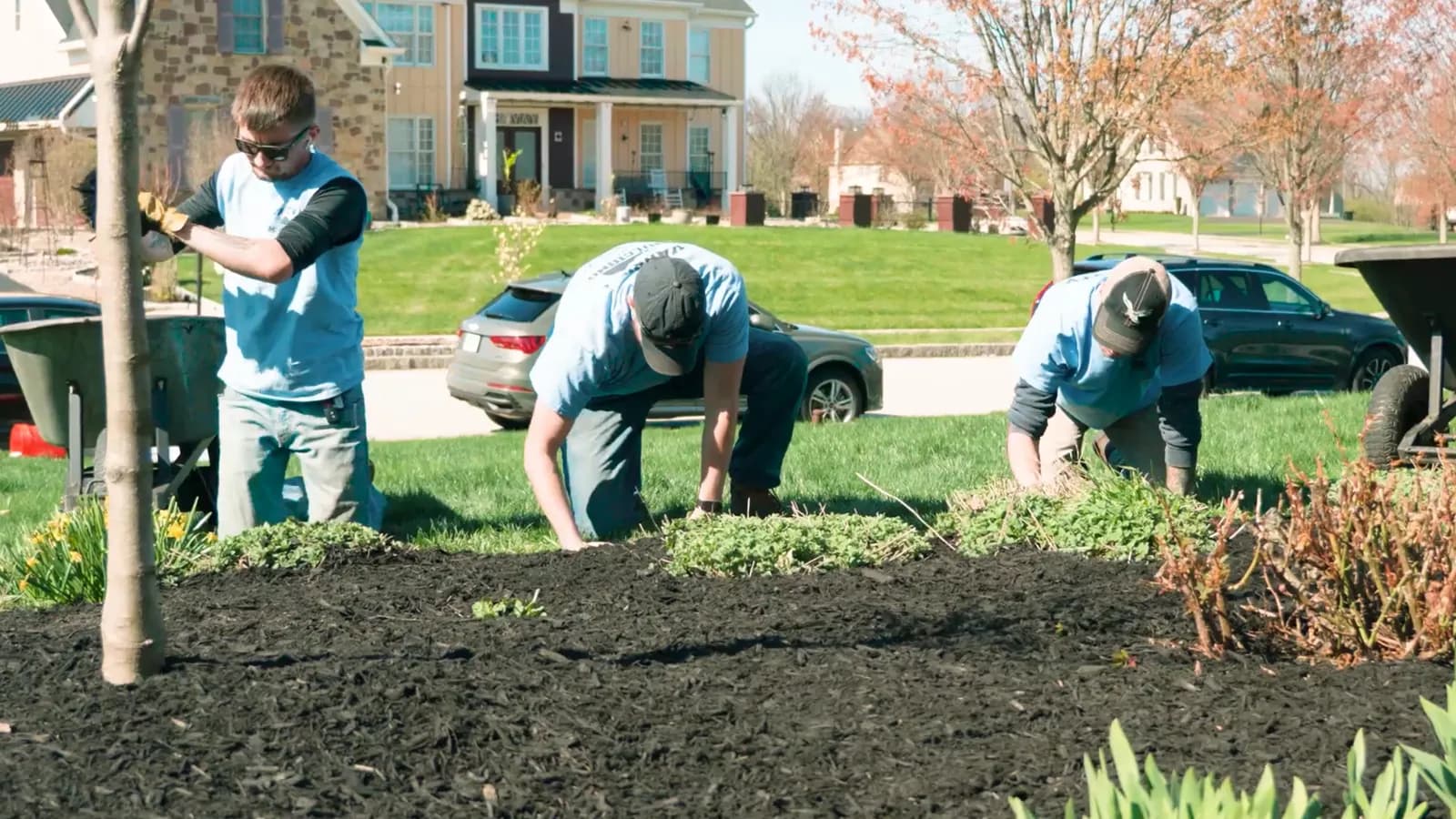 Professional landscaping services