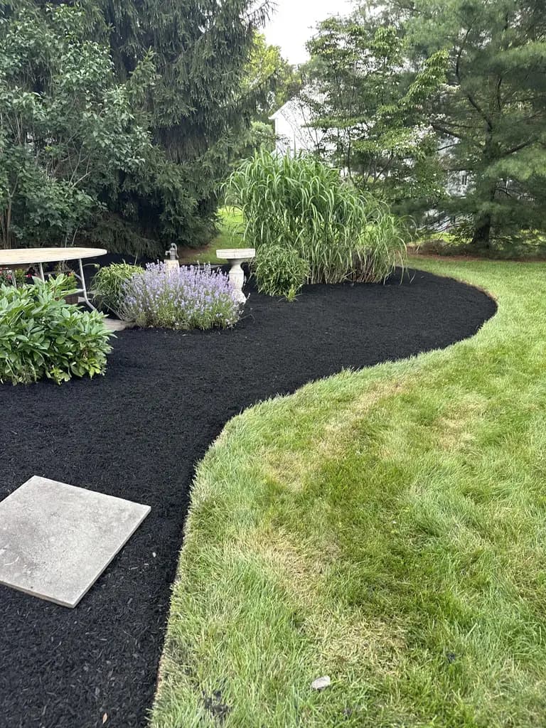 Work completed for Kristen Giordano