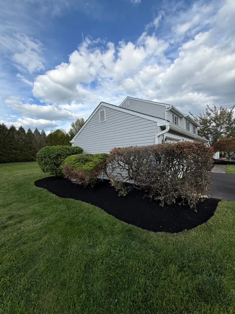 Work completed for Tony Ghiorzi